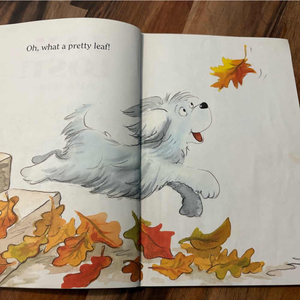 My First Hello Reader Book Bundle - Picture 13 of 15